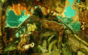 Lockheed P38 Lightning Wreck